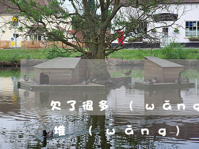 欠了很多網(wǎng)貸怎么處理(欠一大堆網(wǎng)貸如何處理)
