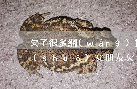 欠了很多網(wǎng)貸怎么跟女朋友說(shuō)(女朋友欠了網(wǎng)貸 我該怎么辦)