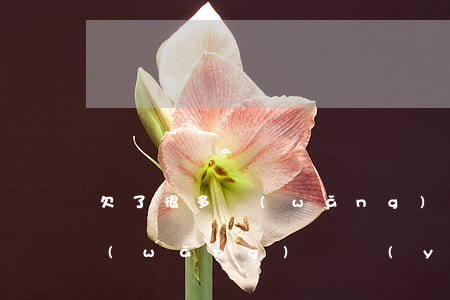 欠了很多網(wǎng)貸我該怎么坦白(網(wǎng)貸應(yīng)該坦白嗎)