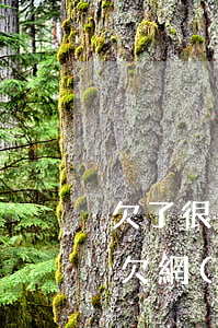 欠了很多網(wǎng)貸拖累了父母(自己欠網(wǎng)貸影響父母貸款嗎)