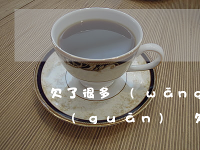 欠了很多網(wǎng)貸會(huì)被關(guān)嗎(欠那些網(wǎng)貸會(huì)比較嚴(yán)重)