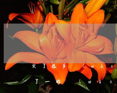 欠了很多網(wǎng)貸條子該怎么辦(欠了一堆網(wǎng)貸,我該怎么辦)