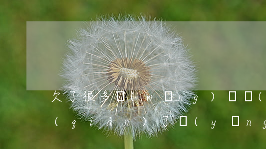 欠了很多網(wǎng)貸沒(méi)錢(qián)了應(yīng)該怎么辦-欠了很多網(wǎng)貸沒(méi)錢(qián)了應(yīng)該怎么辦呀