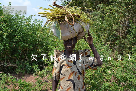 欠了很多網(wǎng)貸沒法還了怎么辦
