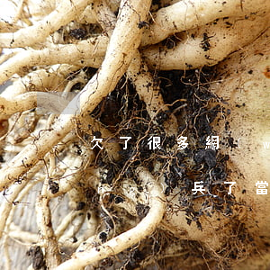 欠了很多網(wǎng)貸然后去當(dāng)兵了(當(dāng)兵了還欠著網(wǎng)貸怎么辦)