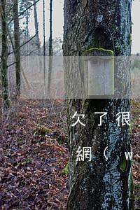 欠了很多網(wǎng)貸的人怎么度過的(網(wǎng)貸欠款的人多嗎)