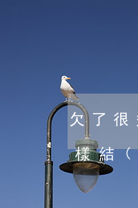 欠了很多網(wǎng)貸的女生還會怎么樣(結(jié)了婚的女人欠了網(wǎng)貸還不起)