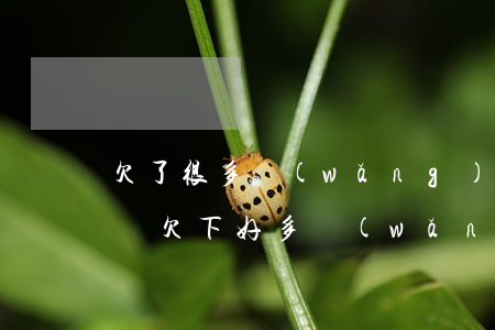 欠了很多網(wǎng)貸走投無路了怎么辦(欠下好多網(wǎng)貸無路可走)