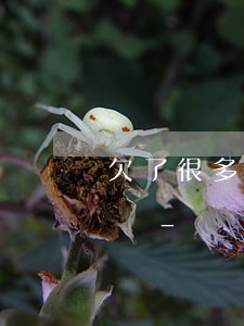 欠了很多網(wǎng)貸還不上了該怎么辦-