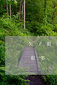 欠了很多網(wǎng)貸還不了咋辦(欠了很多網(wǎng)貸還不了了怎么辦)