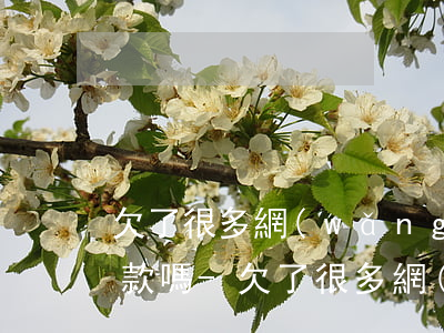 欠了很多網(wǎng)貸還可以向銀行貸款嗎-欠了很多網(wǎng)貸還可以向銀行貸款嗎知乎
