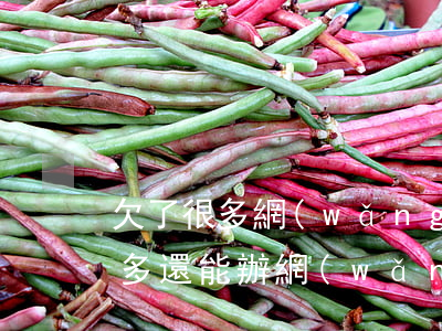 欠了很多網(wǎng)貸還能貸款嘛(欠款多還能辦網(wǎng)貸嗎)
