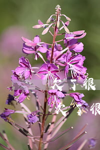 欠了很多網(wǎng)貸都是一千兩千的(欠了很多網(wǎng)貸都是一千兩千的)