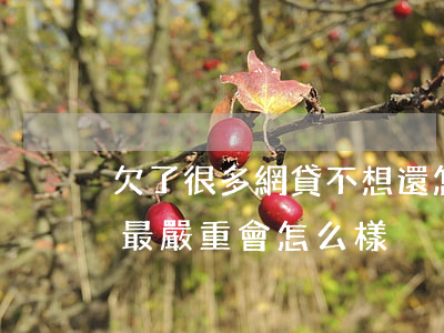 欠了很多網貸不想還怎么辦(欠網貸不想還了最嚴重會怎么樣)