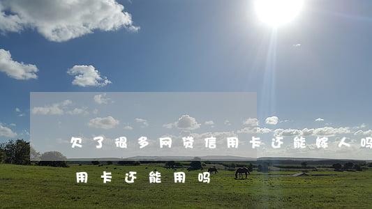 欠了很多网贷信用卡还能嫁人吗-欠网贷信用卡还能用吗