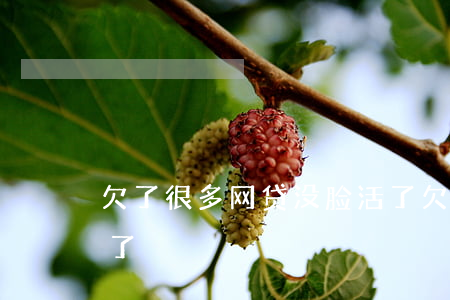 欠了很多网贷没脸活了(欠十多万网贷不想活了)