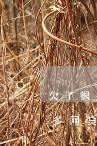 欠了很多网贷等赚了钱再还可以吗-欠了很多网贷等赚了钱再还可以吗知乎