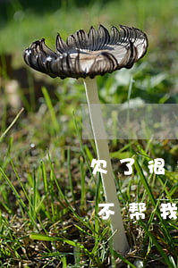欠了很多网贷老婆不知道(欠网贷老婆知道后不帮我)