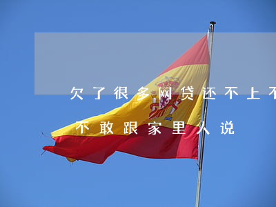 欠了很多网贷还不上不敢面对家人(网贷欠钱不敢跟家里人说)