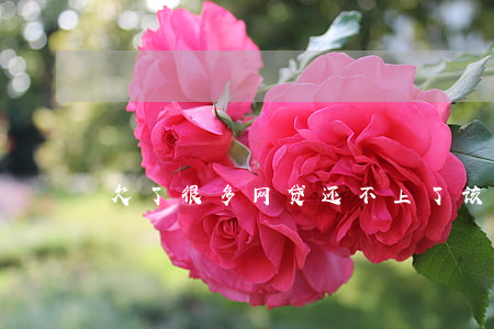 欠了很多网贷还不上了该怎么办-