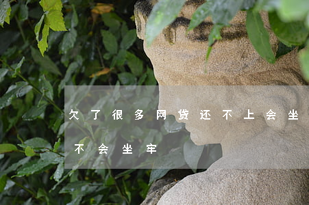 欠了很多网贷还不上会坐牢吗(还不上网贷会不会坐牢)