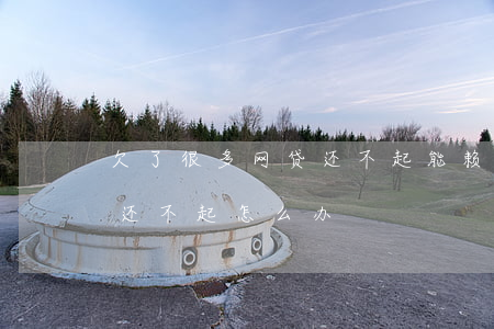 欠了很多网贷还不起能赖掉吗(欠了很多网贷还不起怎么办)