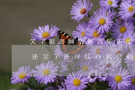 欠了很多网贷还清后还能办房贷(贷过网贷但还完了还可以办房贷吗)