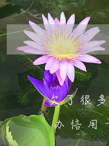 欠了很多网贷还能办信用卡不(网贷很多还能办信用卡吗)