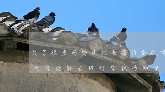 欠了很多网贷还能去银行贷款吗-欠了很多网贷还能去银行贷款吗知乎