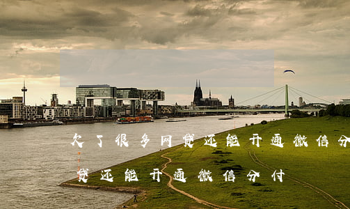 欠了很多网贷还能开通微信分付(欠了很多网贷还能开通微信分付)
