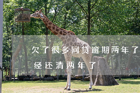 欠了很多网贷逾期两年了(网贷逾期了 但是已经还清两年了)
