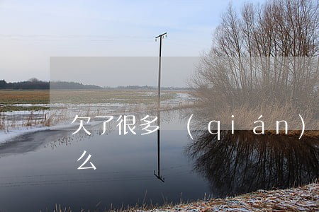 欠了很多錢(qián)老婆要跟我離婚怎么辦