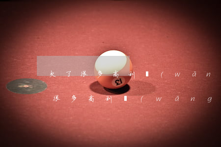 欠了很多高利網(wǎng)貸怎么辦(欠了很多高利網(wǎng)貸怎么辦)
