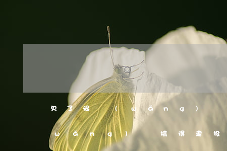 欠了很網(wǎng)貸走投無路了(被網(wǎng)貸搞得走投無路了)