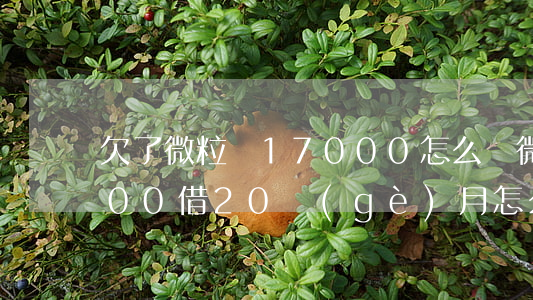 欠了微粒貸17000怎么還(微粒貸13000借20個(gè)月怎么還)
