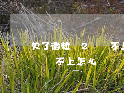 欠了微粒貸2萬還不上怎么辦(欠了微粒貸2萬還不上怎么辦)