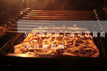 欠了微粒貸工資可以報稅嗎(欠了微粒貸工資可以報稅嗎)