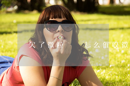 欠了微粒貸會怎么催收(微粒貸會怎么催款)