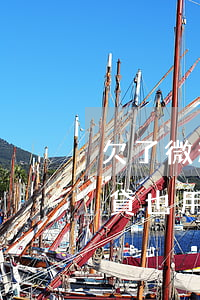 欠了微粒貸沒有欠支付寶(支付寶逾期了微粒貸也用不了嗎?)