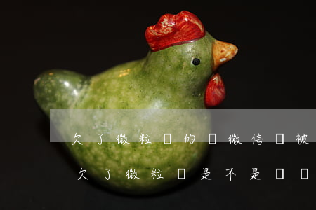 欠了微粒貸的錢微信會被凍結(jié)嗎(欠了微粒貸是不是會凍結(jié)微信)