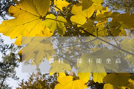 欠了微粒貸能不能坐高鐵(欠銀行貸款可以坐高鐵嗎)