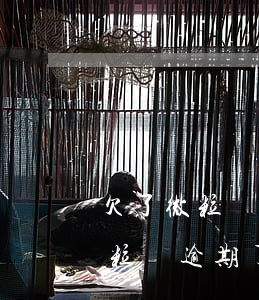 欠了微粒貸逾期了又不敢跟父母說-欠了微粒貸逾期了又不敢跟父母說怎么辦