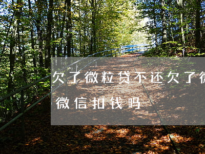欠了微粒贷不还(欠了微粒贷不还会从另外的微信扣钱吗?)