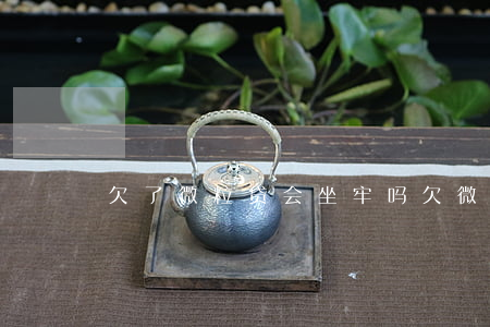 欠了微粒贷会坐牢吗(欠微粒贷不还会坐牢吗)