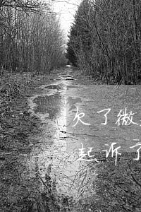 欠了微粒贷的钱没还会怎样(微粒贷没钱还被起诉了也没钱还会怎么样)