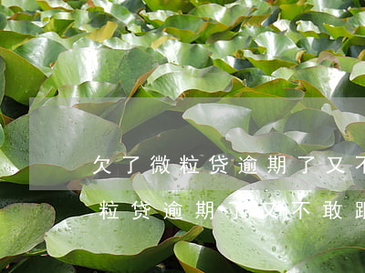 欠了微粒贷逾期了又不敢跟父母说-欠了微粒贷逾期了又不敢跟父母说怎么办