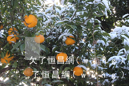 欠了恒昌網(wǎng)貸沒還會怎么樣(欠了恒昌網(wǎng)貸沒還會怎么樣)