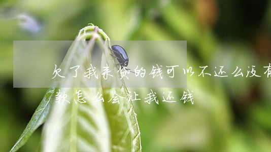 欠了我来贷的钱可以不还么(没有在我来贷贷款怎么会让我还钱)