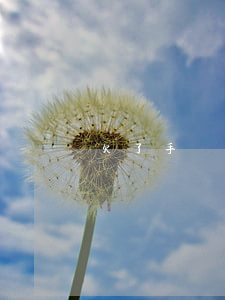 欠了手機貸可以不還嗎(手機貸可以不用還嗎)