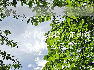 欠了拍拍貸1年的錢(拍拍貸欠錢一千多不還會有什么后果)